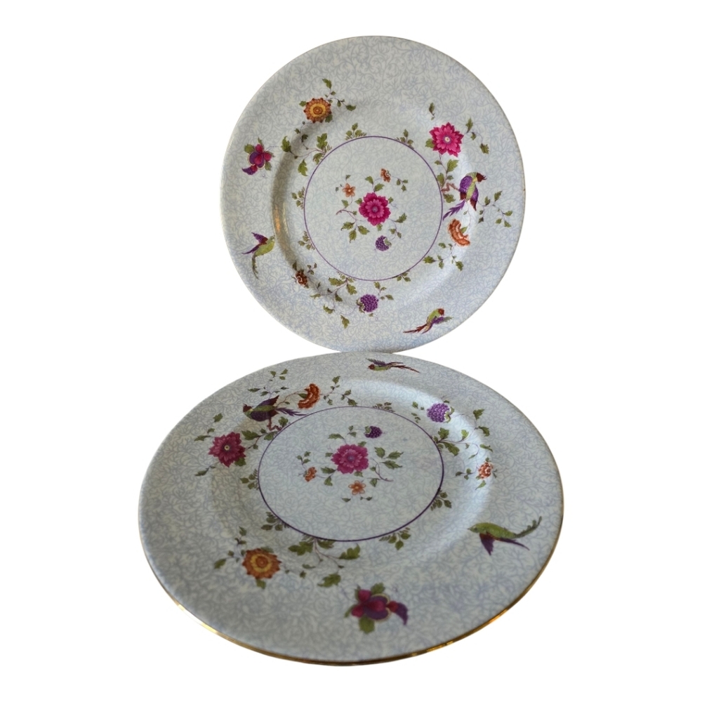 Bird Of Paradise Fine China Bone Dinner Plates Set Of 2